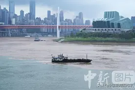 重庆两江交汇处现“鸳鸯锅”景观图片