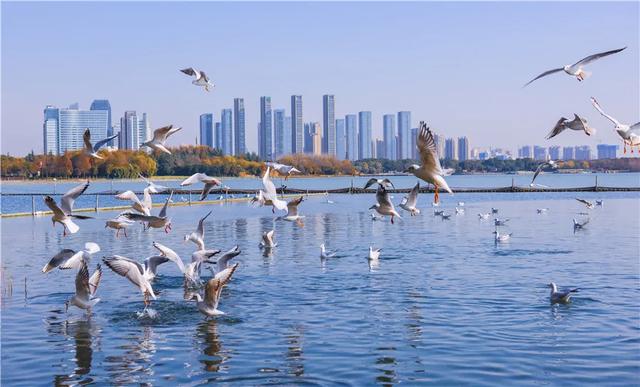 展讯 | 打开新时代美丽江苏建设的生动画卷——“美丽江苏”摄影大展开幕