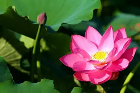 当你放不下过去的时候，就问自己一个问题，很管用图片