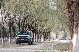 「首试」城市硬派风 | 坦克 300 城市版图片