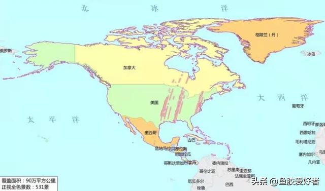 巴西北海鱼胶 巴西北海鱼胶的图片