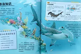 适合2~12岁孩子的科普绘本：涨知识！揭秘平常而不平凡的动物世界图片