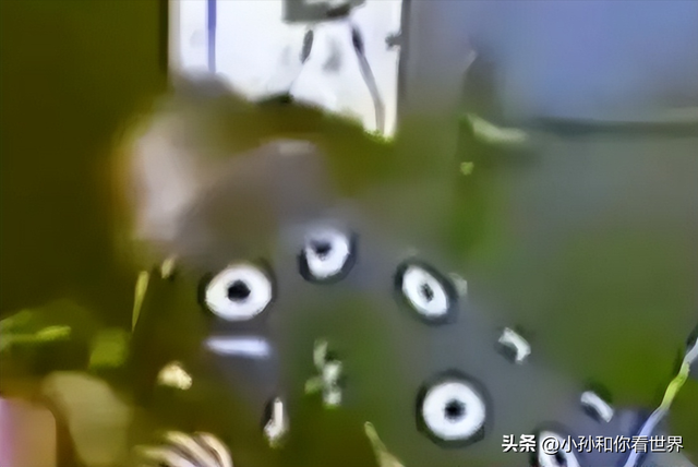 少女强行侵犯60岁大爷，大爷事后哭诉:一直在反抗，可她太大了。