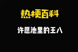 【热梗百科】“​许愿池里的王八”是什么梗？图片