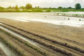 被征地农民的“失地保险”，到底谁说了算？图片