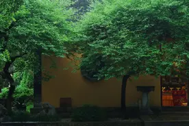 如果已婚男女吃饭的时候体现了这几个动作，两个人就已经越界了图片