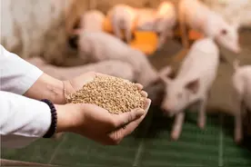 “瘦肉精”只是小儿科，这些有害化学物品已经泛滥成灾！还敢买吗图片