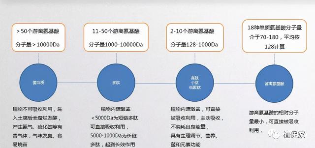 鱼蛋白假货多！鱼蛋白鱼龙混杂、价格差别大！教你轻松识货不走眼