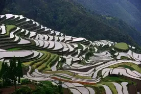 散文头条｜轻抚皱纹图片