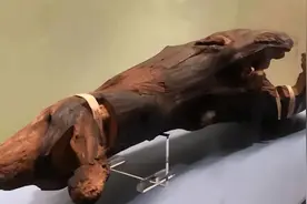 隋炀帝赏给日本一块木头，被日本奉为国宝，连天皇都把它当成宝贝图片