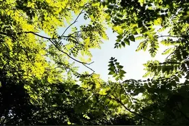 人生的幸福就是，生活不简单，尽量简单过图片