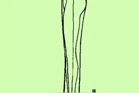 如何裁剪出合体的服装？需要注意下面几个方面图片