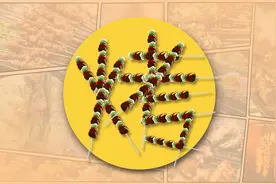 “五一”来了！揣上这份烧烤图鉴，大快朵颐撸串去！图片