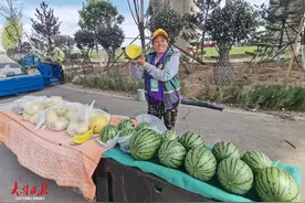 【我们的新时代】云冈区北村：吊瓜变“金瓜”，村民乐开花！图片
