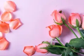 妈妈和小姨15年没来往，那天我正在上班，突然接到一个陌生的电话图片