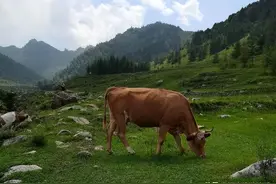 山西这个村子被誉为“小瑞士”？旅游业的发展却让古村落消失了图片