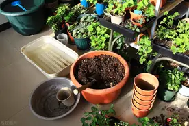 简单实用的自制种菜营养土方法图片