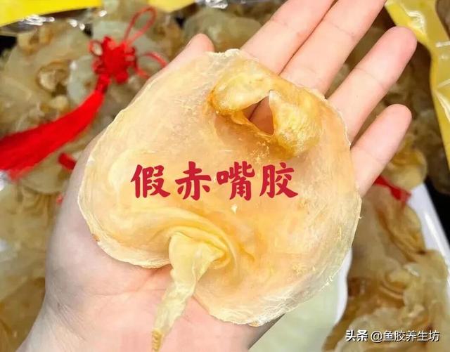 赤嘴鳘鱼胶真假 2026年赤嘴鱼胶的口感
