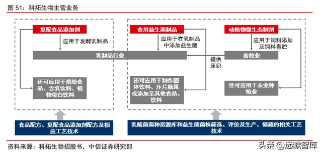 颠覆传统，合成生物：迎来历史发展机遇，乘势而起，引领未来