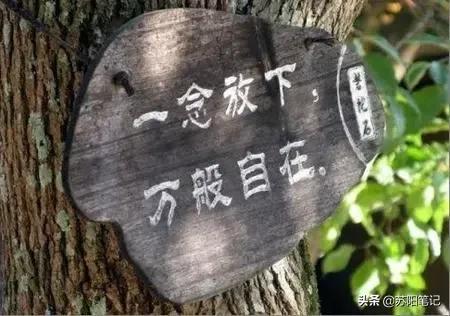 关于自由自在的说说句子(关于自由自在的唯美句子)-第2张图片