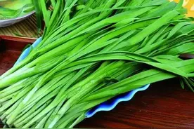 打了“激素”的韭菜怎么辨认？老菜农：记住这3点，看一眼就认出图片