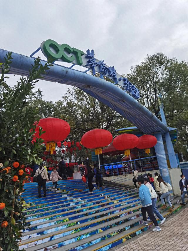 东部华侨城旅游攻略(东部华侨城好玩吗)