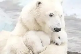 睡前七个暖心小故事，家里有宝宝的建议收藏图片