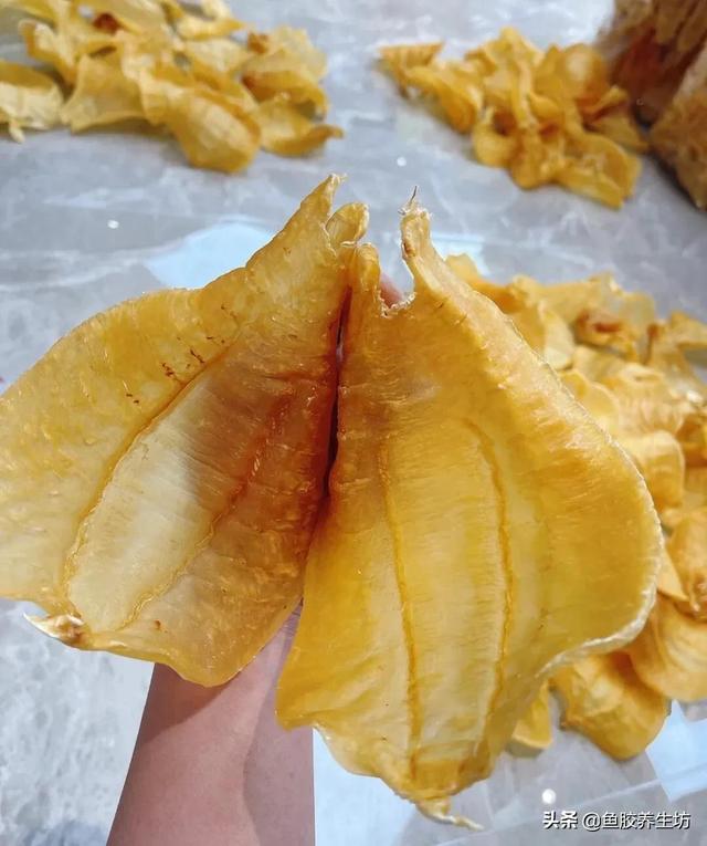 赤嘴鳘鱼胶真假 2026年赤嘴鱼胶的口感