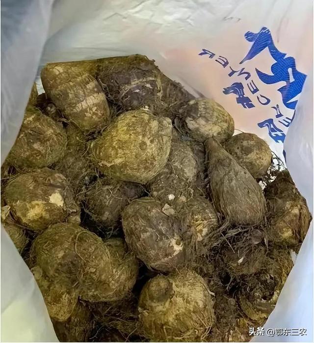 廣西農村女子開網店銷售荔浦芋 被告上法庭 賠償經濟損失40萬元 Zh中文網
