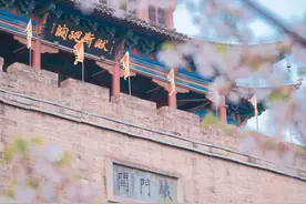 大招来了！汉阳官宣“C位赏春”攻略图片