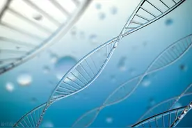 人体内的细胞是如何生存的图片