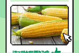 减肥主食-玉米，选对品种更好瘦图片