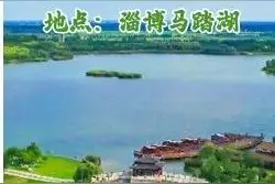 六五环境日·手绘海报 | 挑剔的TA们，为何偏爱山东？图片