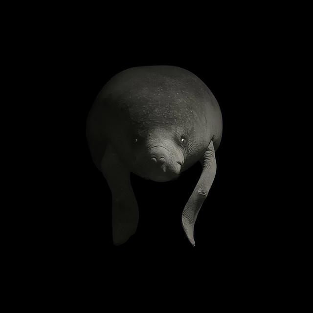 作品选登 | 第28届全国摄影艺术展览创意和商业类作品
