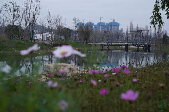 倒计时2天，跟着赛事打卡花溪湖美景