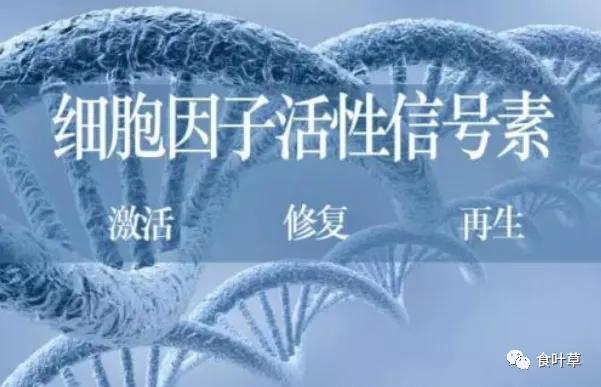 食叶草氨基酸多肽精蛋白与大健康产业