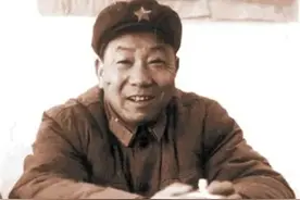 世界公认狙神有多恐怖？用机瞄步枪32天击杀214人，他如何做到？图片