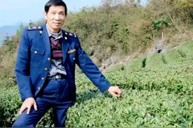 地球上仅存1株的苗！专家繁殖20多年没成功，湖北农民竟种出27棵图片