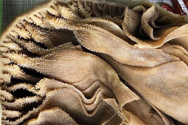 点火锅时,牛百叶,牛肚,毛肚傻傻分不清!到底有什么区别?