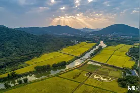 双政策推动农村发展，城里一套房不如农村一亩三分地图片