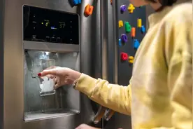 夏季冰箱的5种“正确用法”，你可能不理解，但它们真不是谣言图片