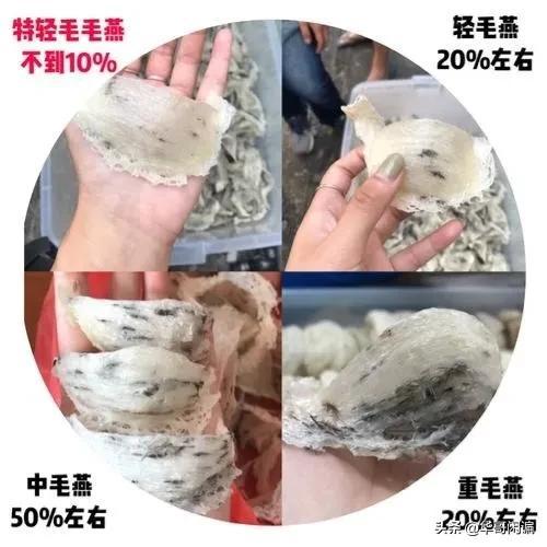 燕窝女人吃有什么好处和坏处 燕窝女人吃的好处