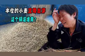 麦收大功臣收割机，为什么无法做到随开随用？固定地方待不行吗！图片