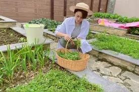 张馨予晒自家菜园火了：院中种满瓜果蔬菜，这简直就是世外桃源图片