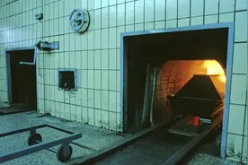 遗体火化后，为何只有骨头却没有牙齿？牙齿已经被烧成灰了吗？图片