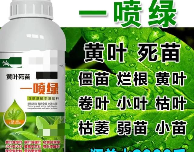 网红叶面肥“一喷绿”，玩的是个套路，不要被名字迷惑而交智商税