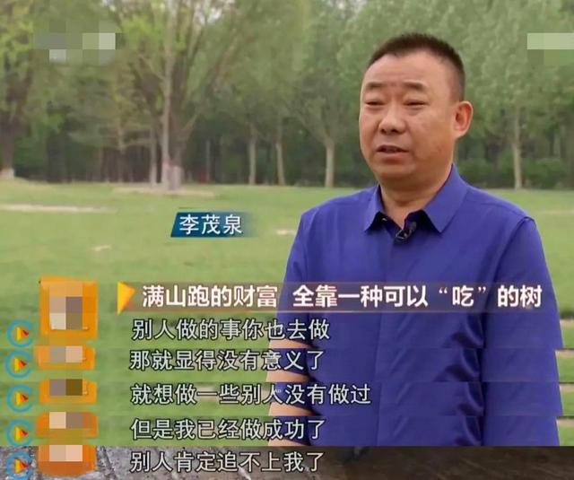 山西矿老板改行进荒山种奇树，被骂“有病”，结果3年赚5000万