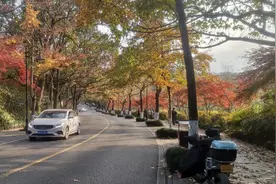 我来告诉你为什么你上课总是听不懂图片