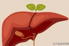 肝不好身体会有这4个表现，看看自己有没有图片