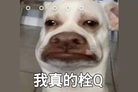 女玩家突然大肚子，男玩家一夜变僵尸，玩逆天寒还敢挂机吗？图片